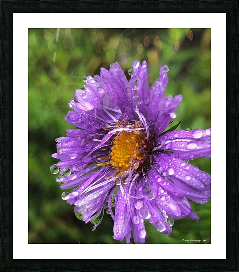 2495638 :: Framed Print