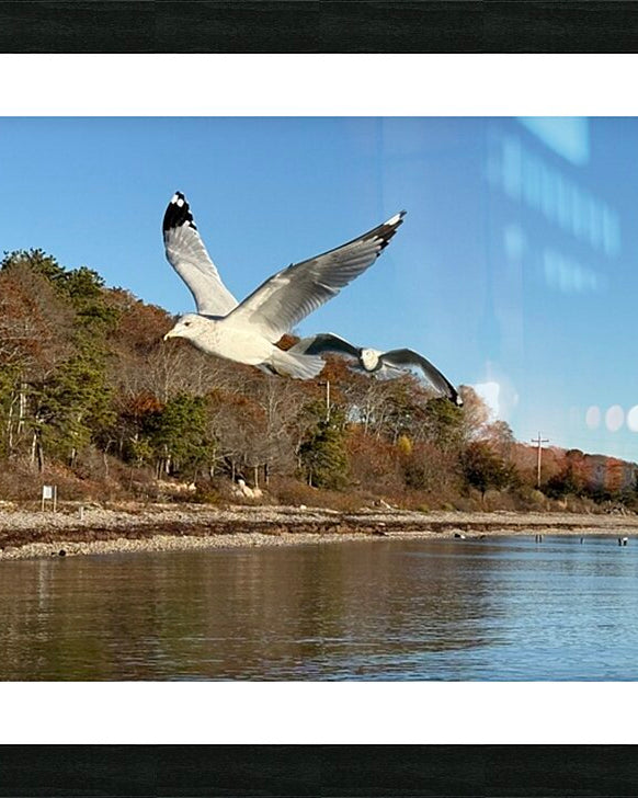 2498092 :: Framed Print