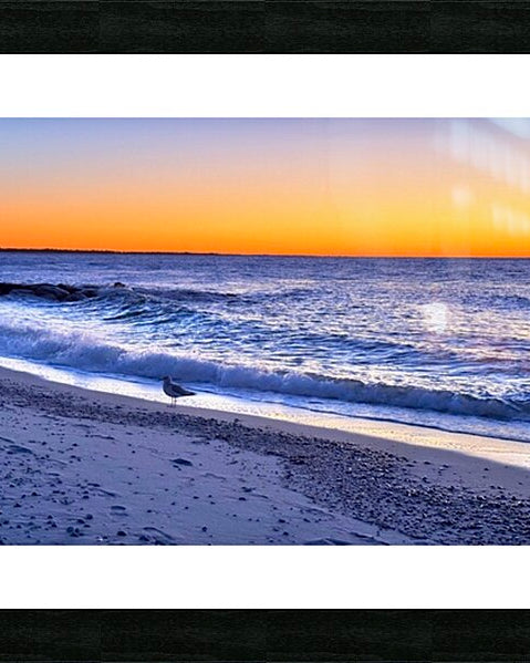 2498129 :: Framed Print