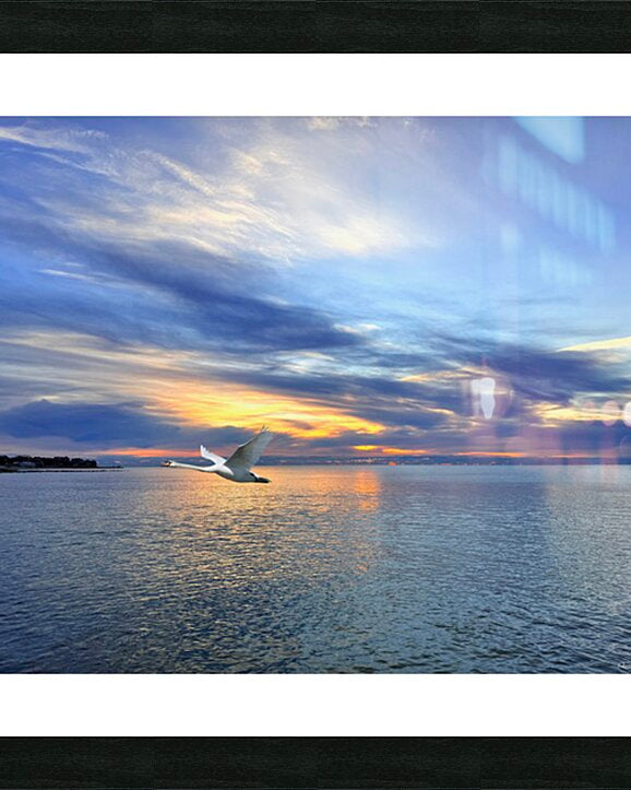 2498574 :: Framed Print