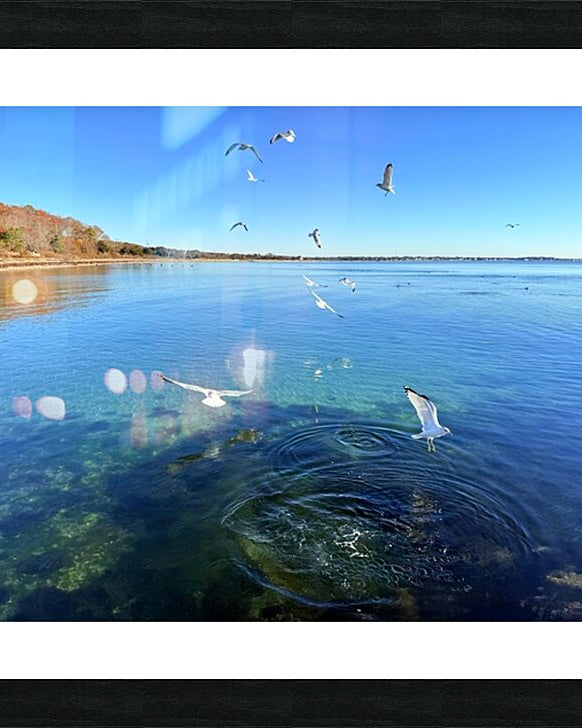 2498578 :: Framed Print