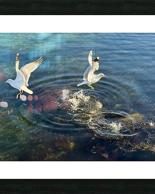 2498729 :: Framed Print