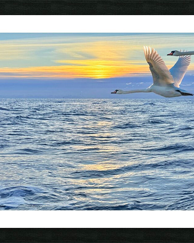 2503734 :: Framed Print