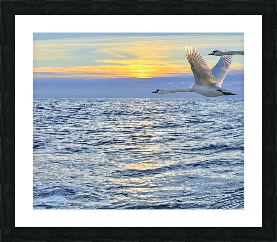 2503734 :: Framed Print