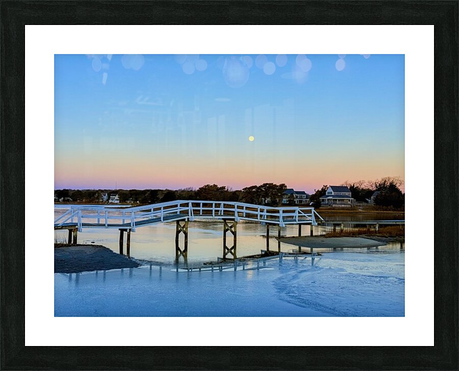 2505534 :: Framed Print