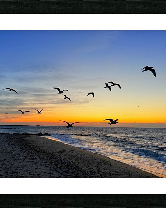 2505539 :: Framed Print