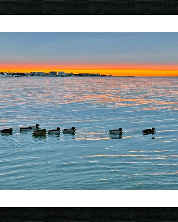 2511936 :: Framed Print