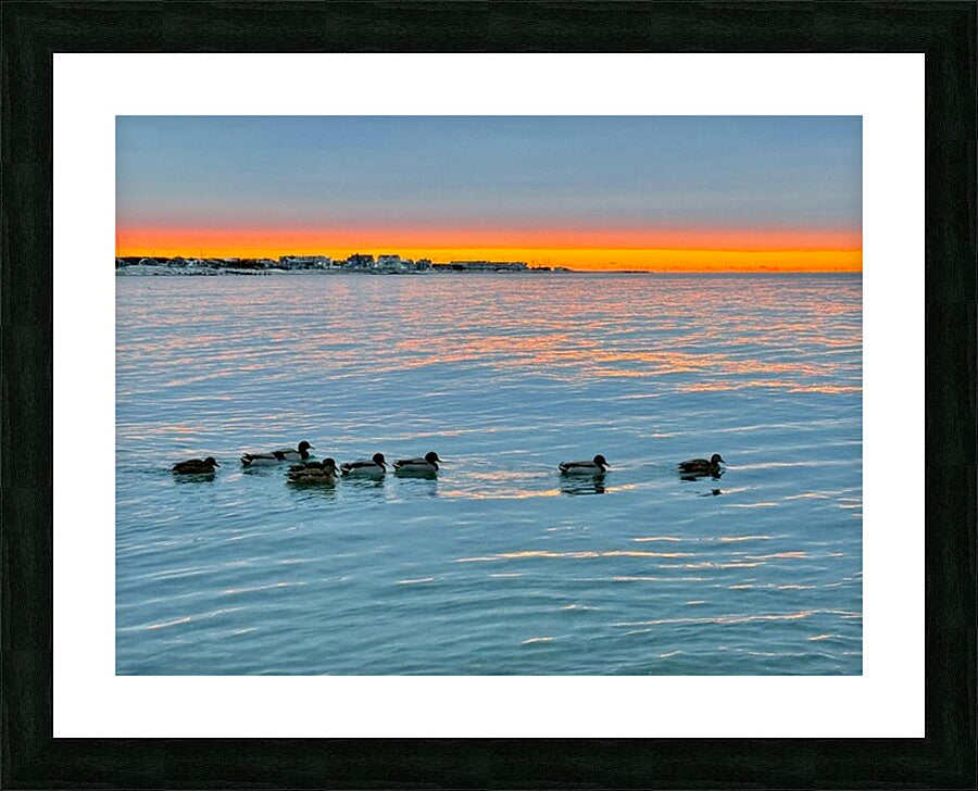 2511936 :: Framed Print