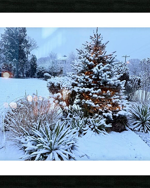 2511983 :: Framed Print