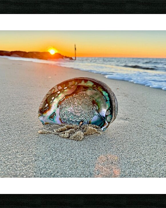 2516197 :: Framed Print