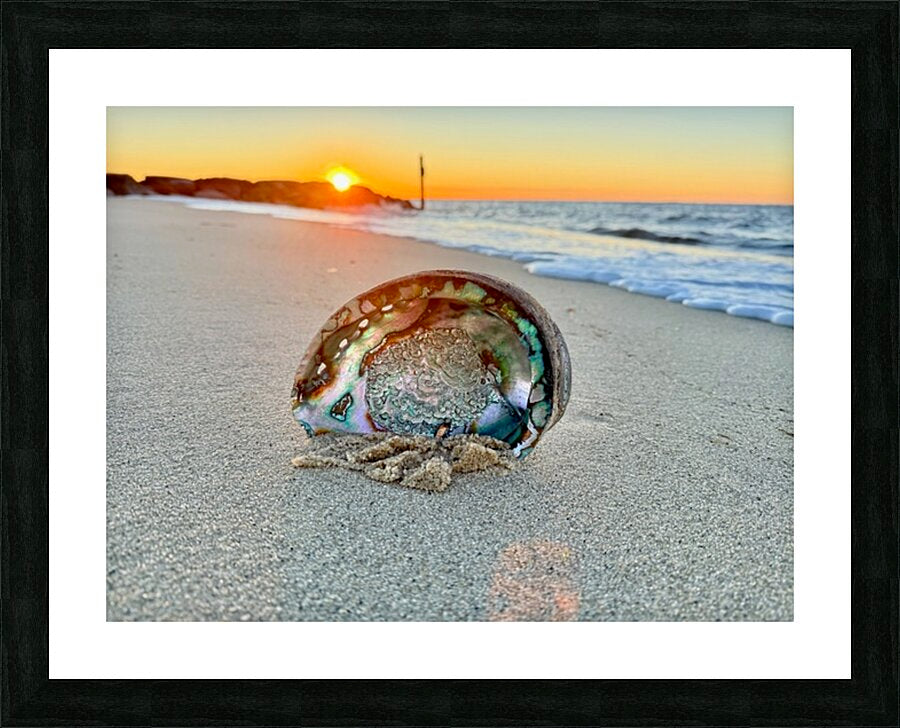 2516197 :: Framed Print