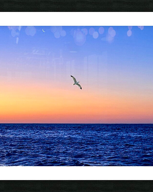 2516208 :: Framed Print