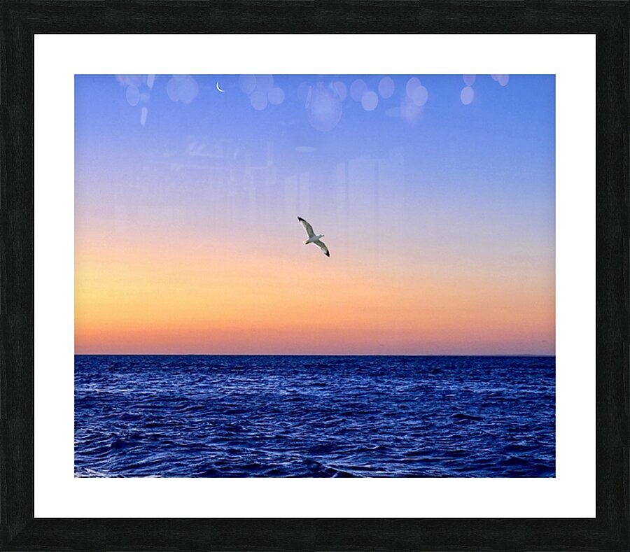 2516208 :: Framed Print