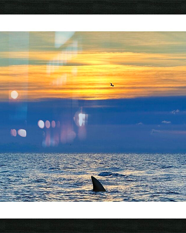 2516210 :: Framed Print