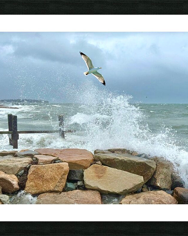 2516245 :: Framed Print