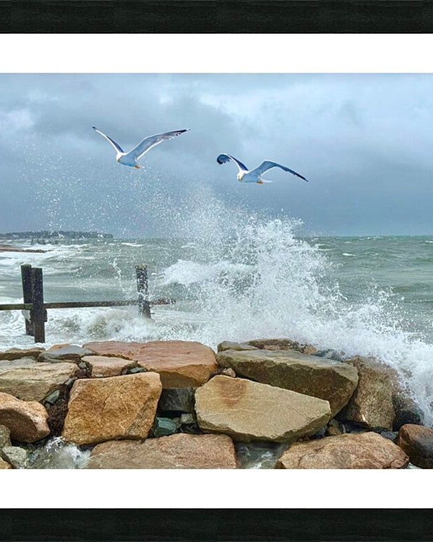 2516246 :: Framed Print