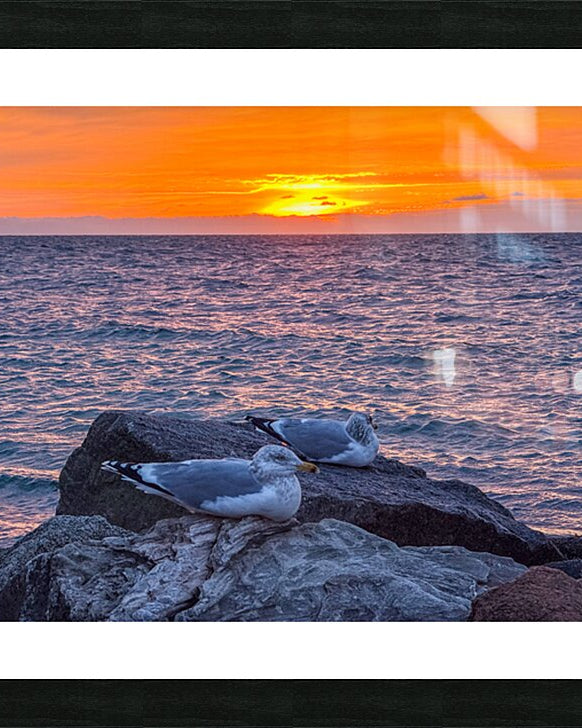 2519744 :: Framed Print