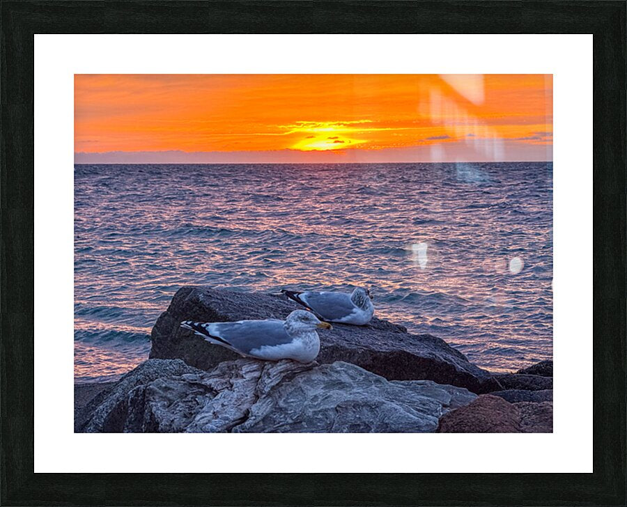 2519744 :: Framed Print