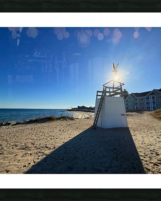 2519943 :: Framed Print