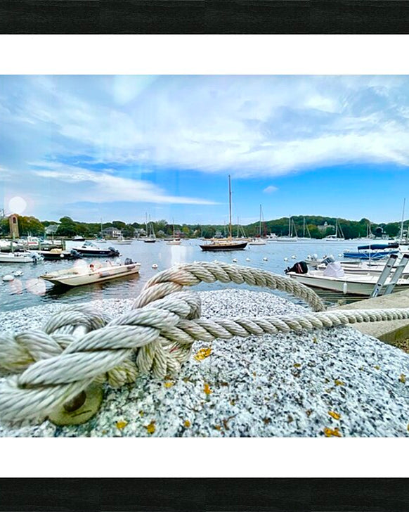 2519945 :: Framed Print