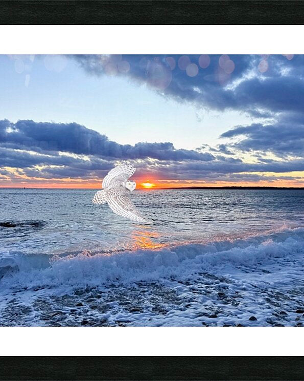 2521712 :: Framed Print