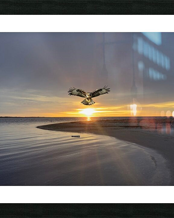 2521716 :: Framed Print