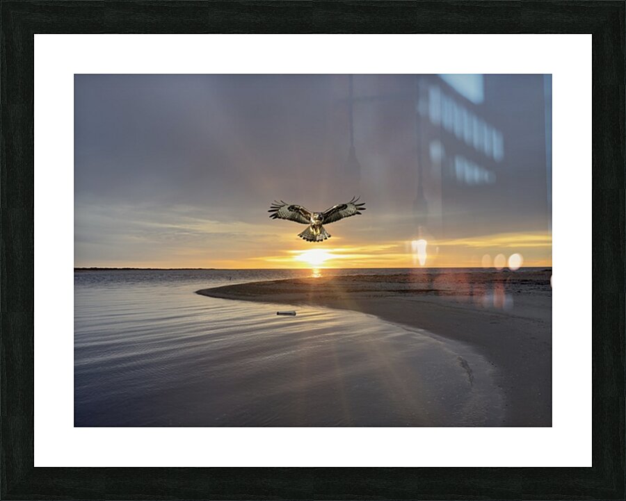 2521716 :: Framed Print