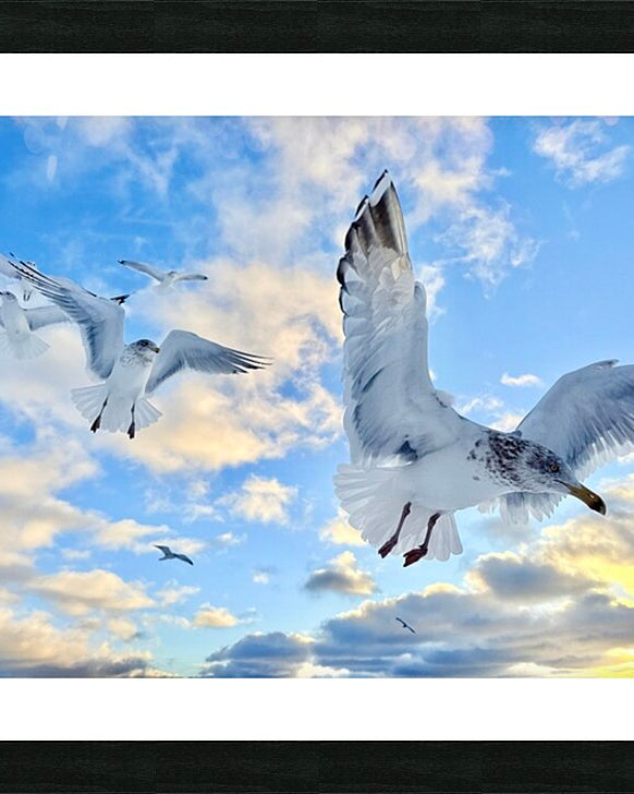 2521717 :: Framed Print