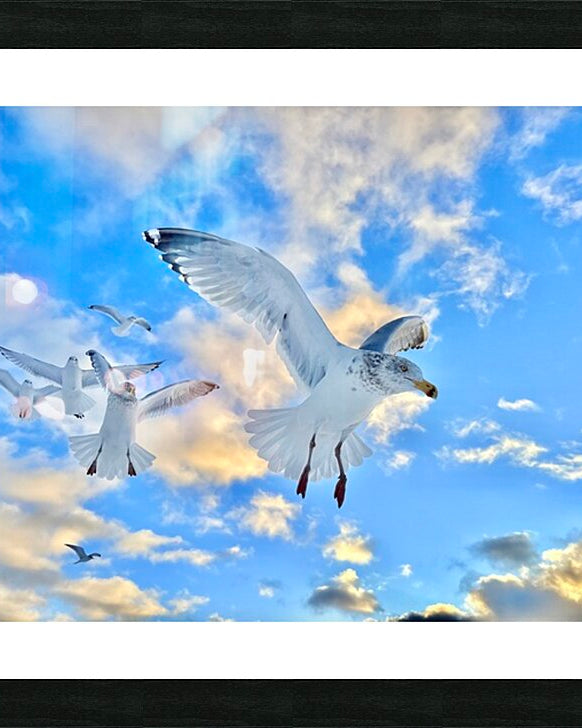 2522014 :: Framed Print