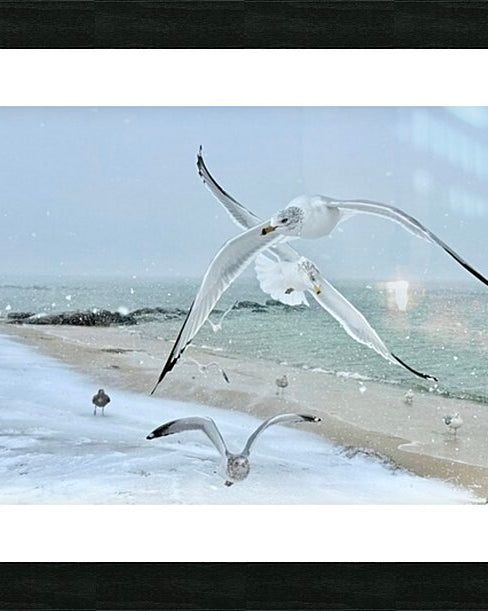 2525288 :: Framed Print