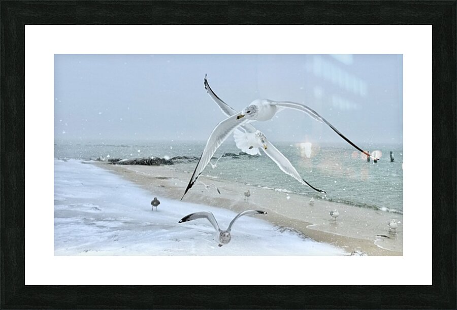 2525288 :: Framed Print