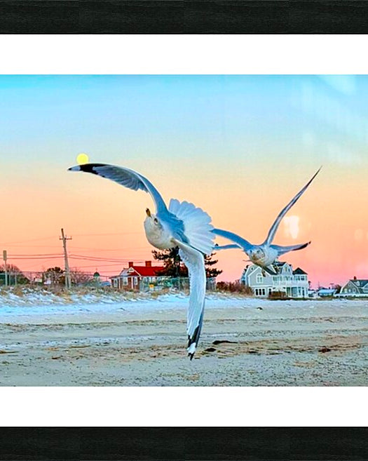 2527931 :: Framed Print