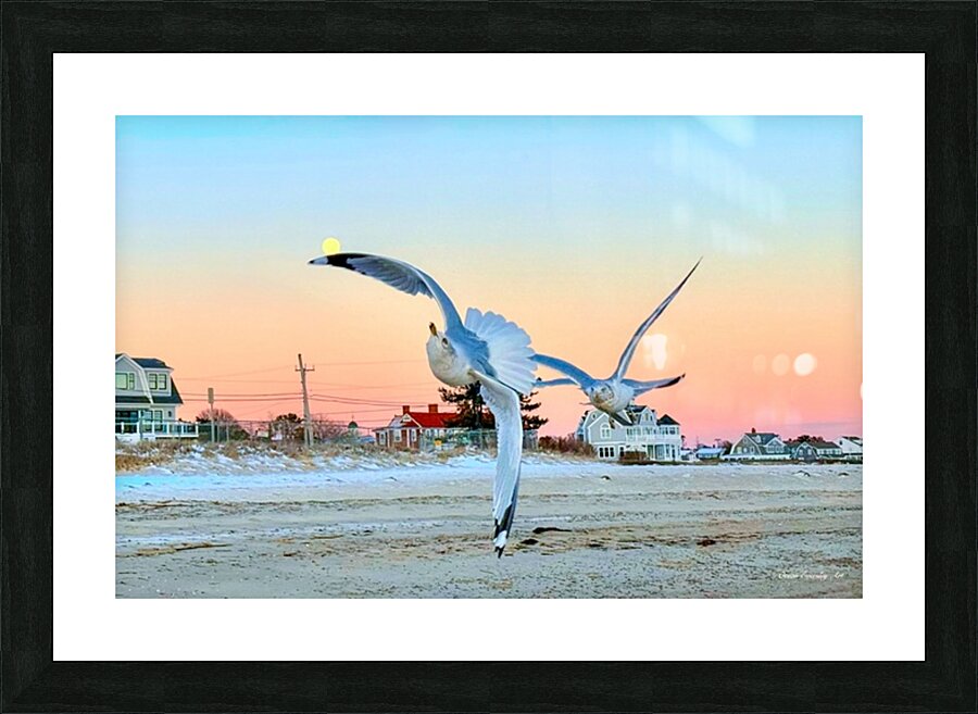 2527931 :: Framed Print