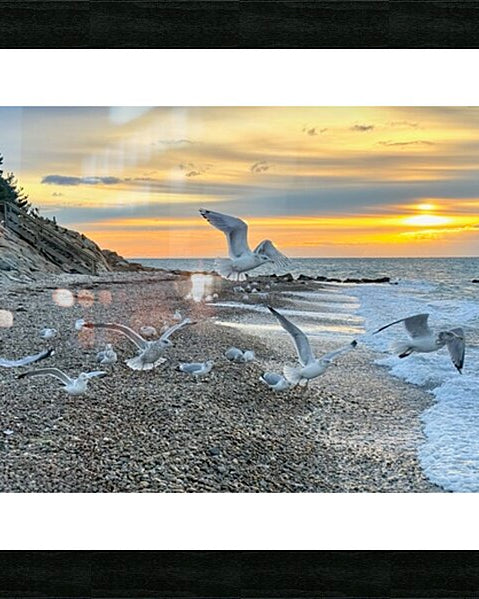 2528827 :: Framed Print