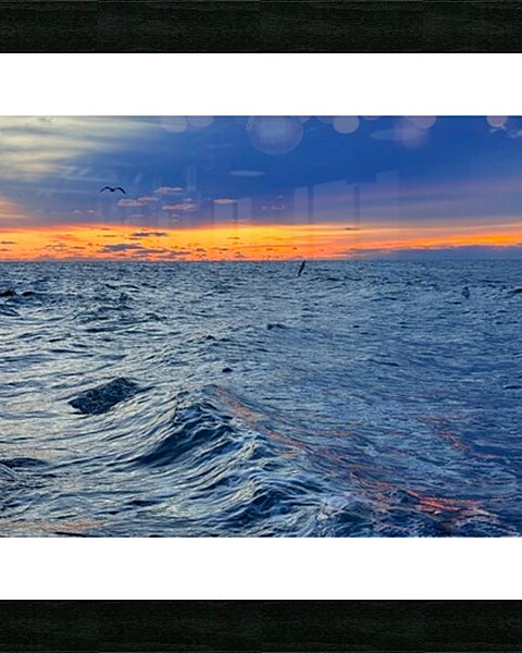 2529218 :: Framed Print