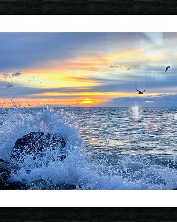 2529222 :: Framed Print