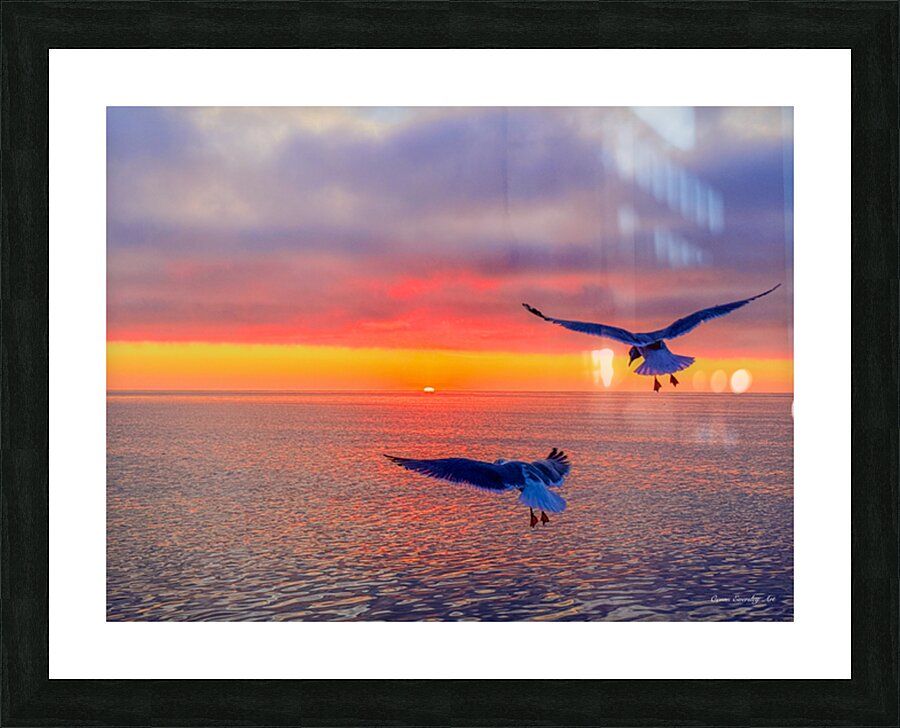 2536746 :: Framed Print
