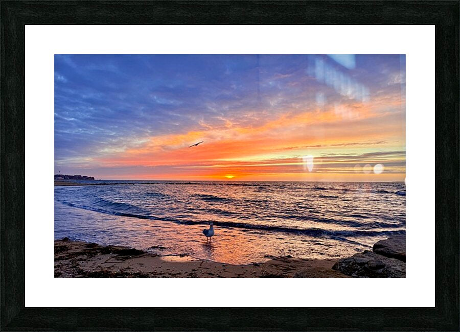 2540943 :: Framed Print