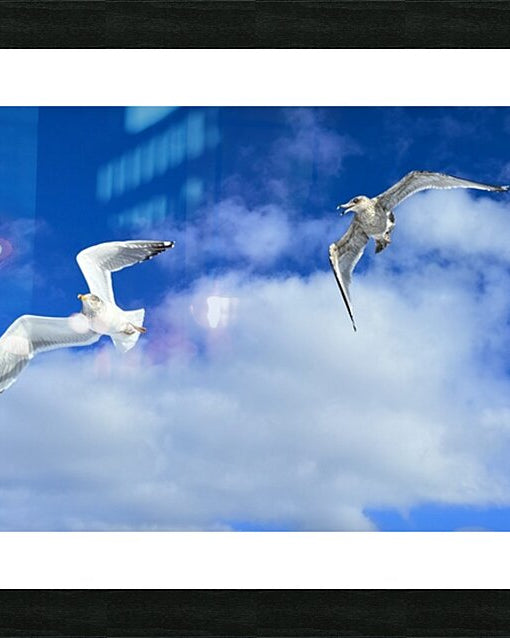 2552328 :: Framed Print