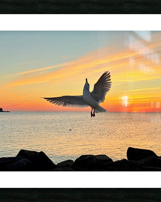 2552657 :: Framed Print