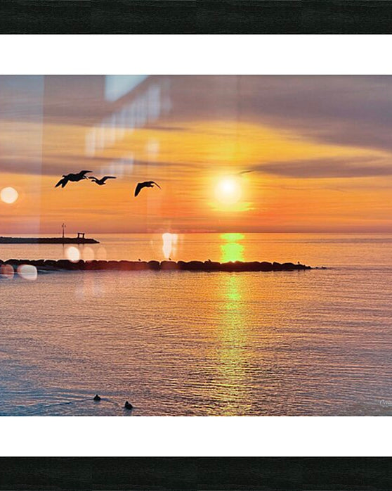 2603174 :: Framed Print