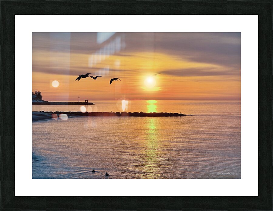 2603174 :: Framed Print