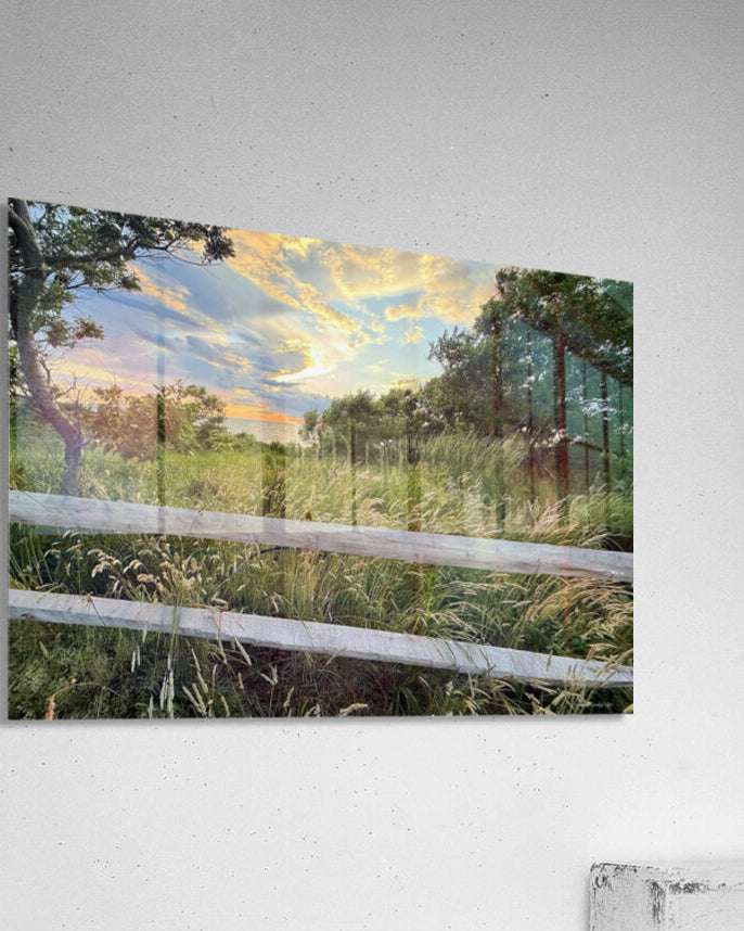 2702616 :: Acrylic Print