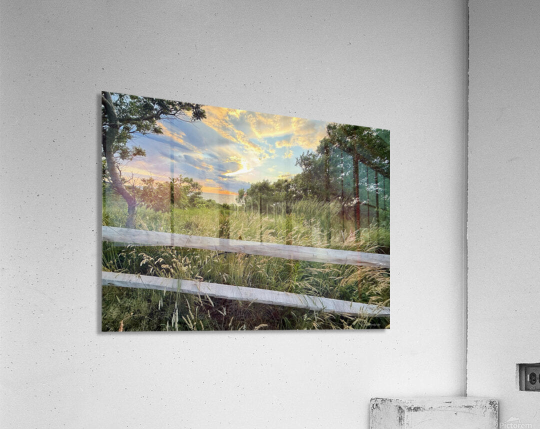 2702616 :: Acrylic Print