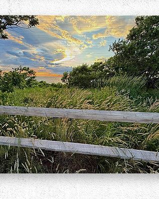 2702616 :: Brushed Metal Print