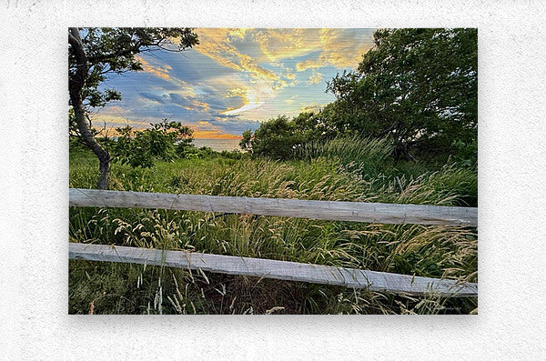 2702616 :: Brushed Metal Print