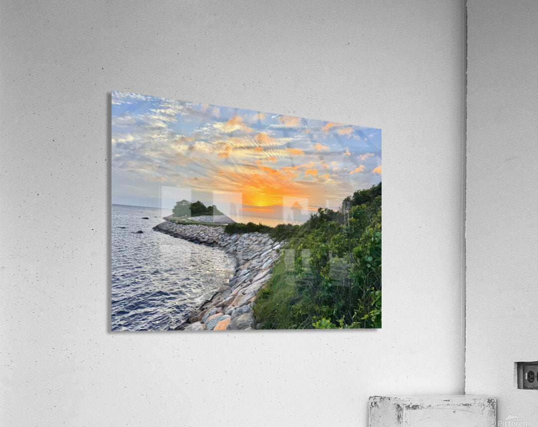 2752644 :: Acrylic Print