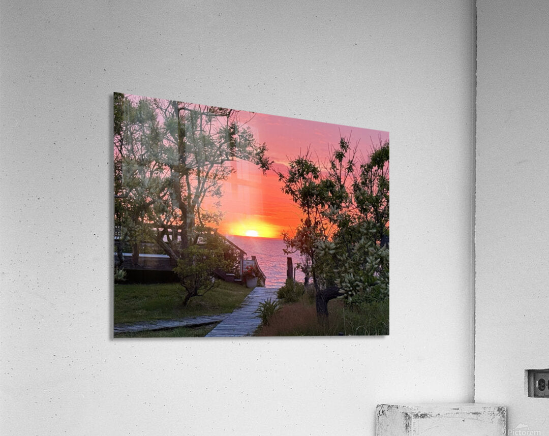 2691626 :: Acrylic Print