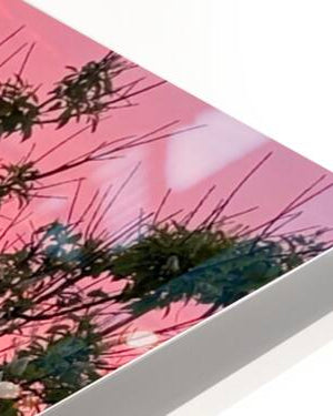 2691626 :: HD Sublimation Metal Print