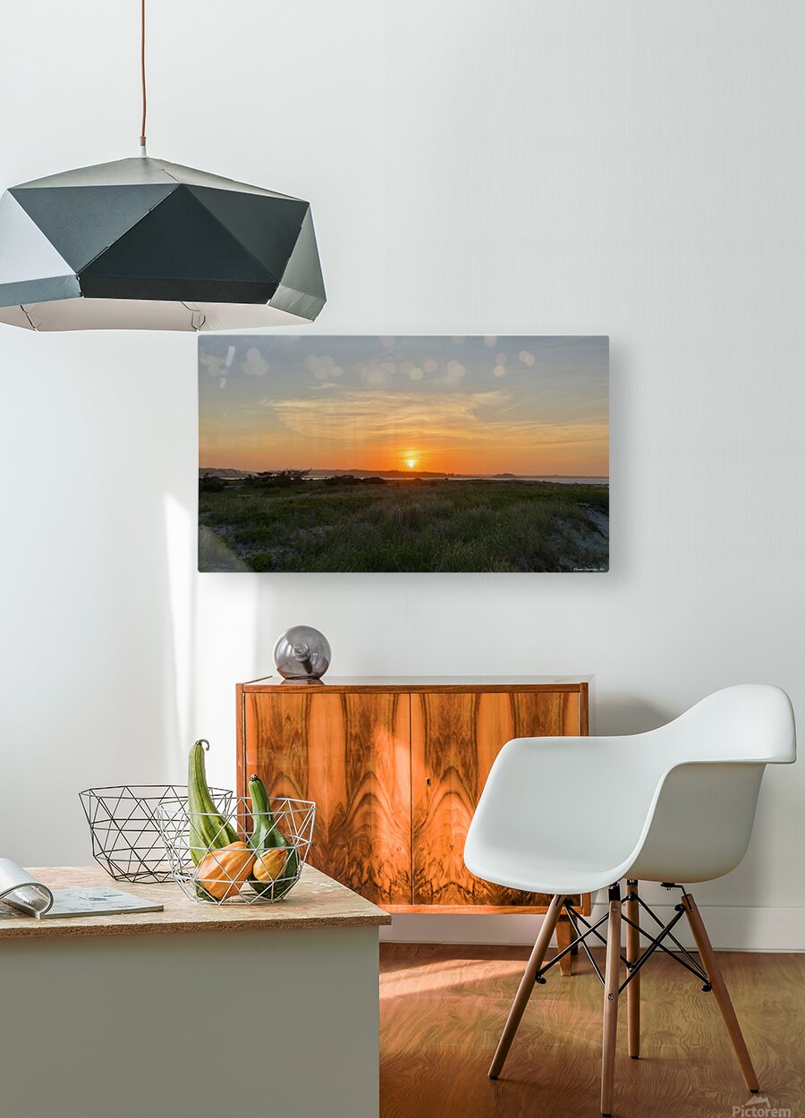 2683847 :: HD Sublimation Metal Print